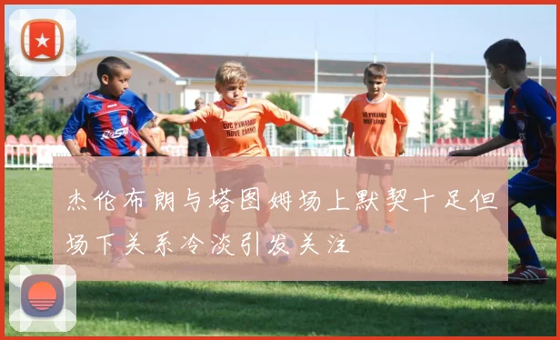 杰伦布朗与塔图姆场上默契十足但场下关系冷淡引发关注