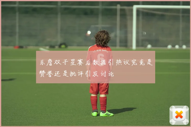东詹双子星赛后数据引热议究竟是赞誉还是批评引发讨论