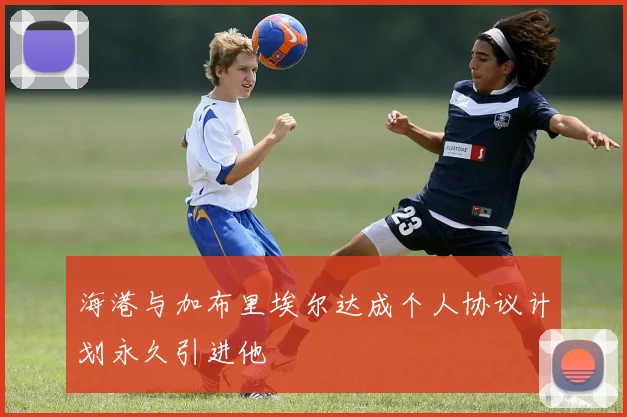 海港与加布里埃尔达成个人协议计划永久引进他